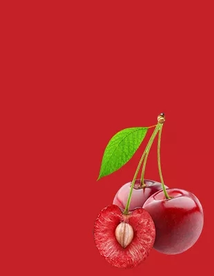 利澳登录页面